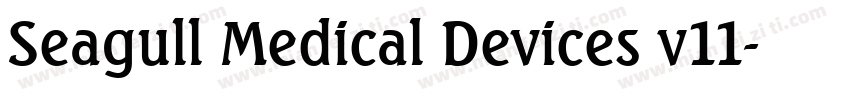 Seagull Medical Devices v11字体转换